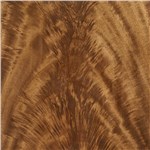 Bleached Crotch Mahogany